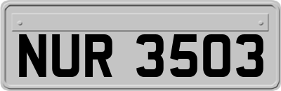 NUR3503