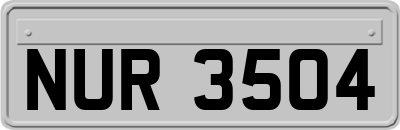 NUR3504