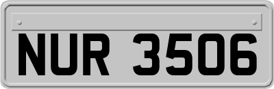 NUR3506