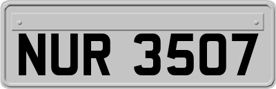 NUR3507