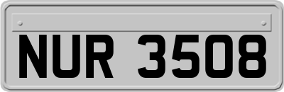 NUR3508