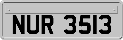 NUR3513