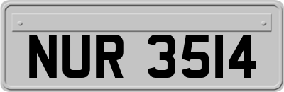 NUR3514