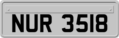 NUR3518