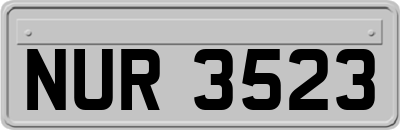 NUR3523