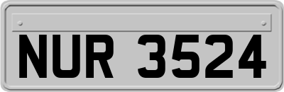 NUR3524