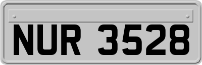 NUR3528