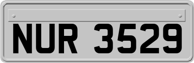 NUR3529