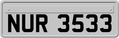 NUR3533