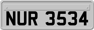 NUR3534