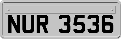 NUR3536