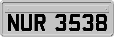 NUR3538