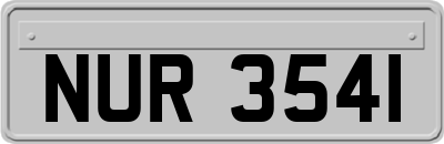 NUR3541