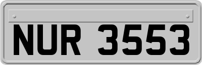 NUR3553