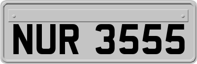 NUR3555
