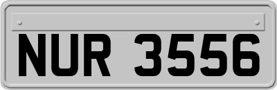 NUR3556