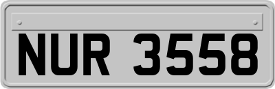 NUR3558