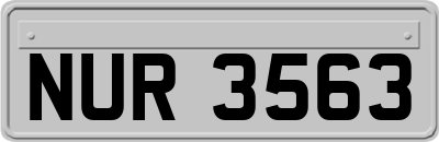 NUR3563
