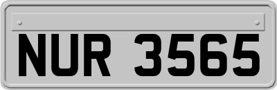 NUR3565