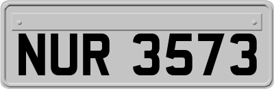 NUR3573