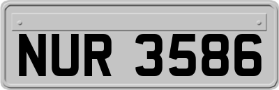 NUR3586