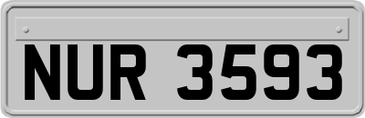 NUR3593