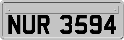 NUR3594