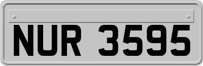NUR3595
