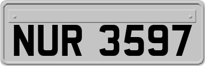 NUR3597