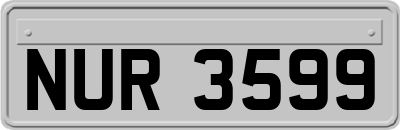 NUR3599