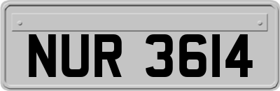 NUR3614