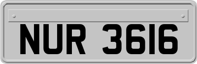 NUR3616
