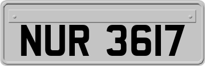 NUR3617