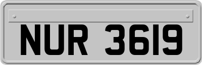 NUR3619