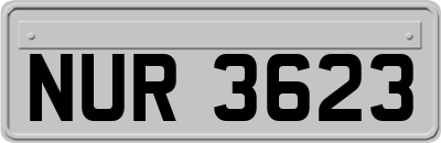 NUR3623