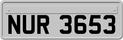 NUR3653