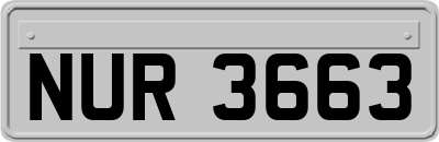 NUR3663