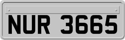 NUR3665