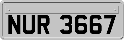 NUR3667