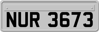 NUR3673