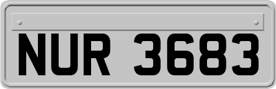NUR3683