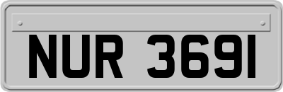 NUR3691