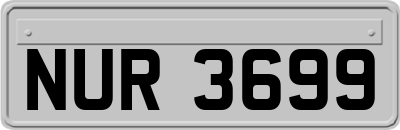 NUR3699