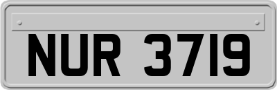 NUR3719