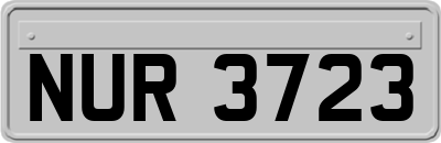 NUR3723