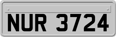 NUR3724