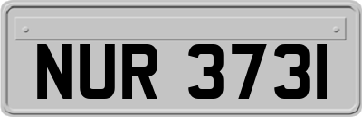 NUR3731