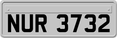 NUR3732