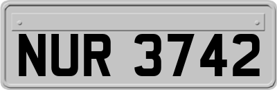 NUR3742