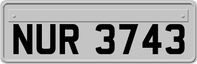 NUR3743